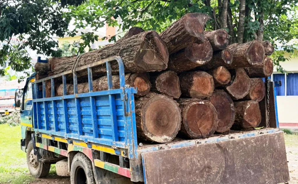 this is image