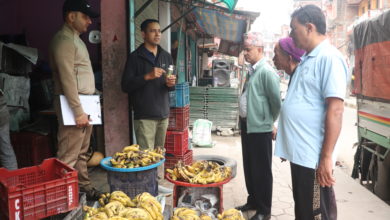 धादिङमा विषादी हालेर पकाएको केरा बिक्री,१० हजार जरिवाना (फोटो फिचर)